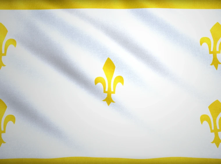 Age of Empires 4 Jeanne d'Arc Bayrağı