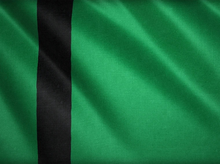 Age of Empires 4 Delhi Sultanlığı Bayrağı