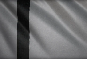 Age of Empires 4 Tughlaq Hanedanlığı Bayrağı