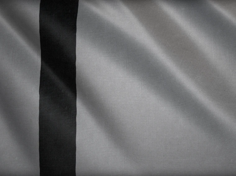 Age of Empires 4 Tughlaq Hanedanlığı Bayrağı